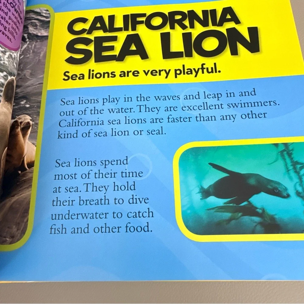 National Geographic Kids First Big Book of the Ocean Hardcover Catherine Hughes